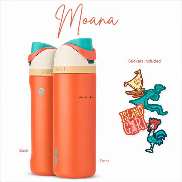 Owala 24oz Disney Princess Edition Insulated Water Bottle